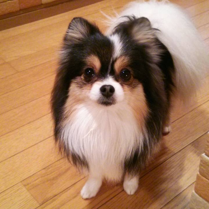 62ff5af0 adb4 4654 9317 98624ab308ba 1519037298027