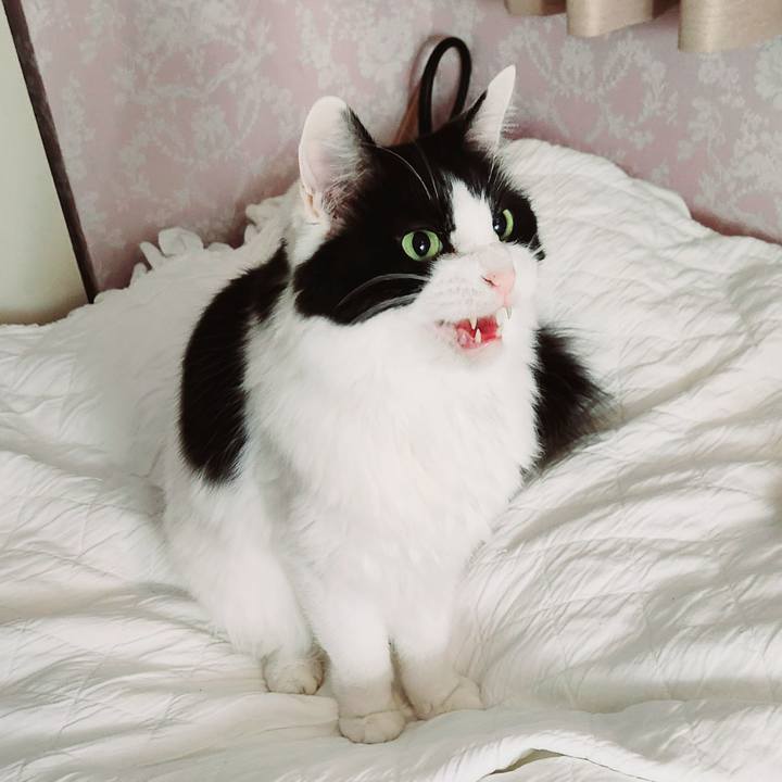 62ff66ab 9be1 4546 890a d09f1ee9689f 1708378909489