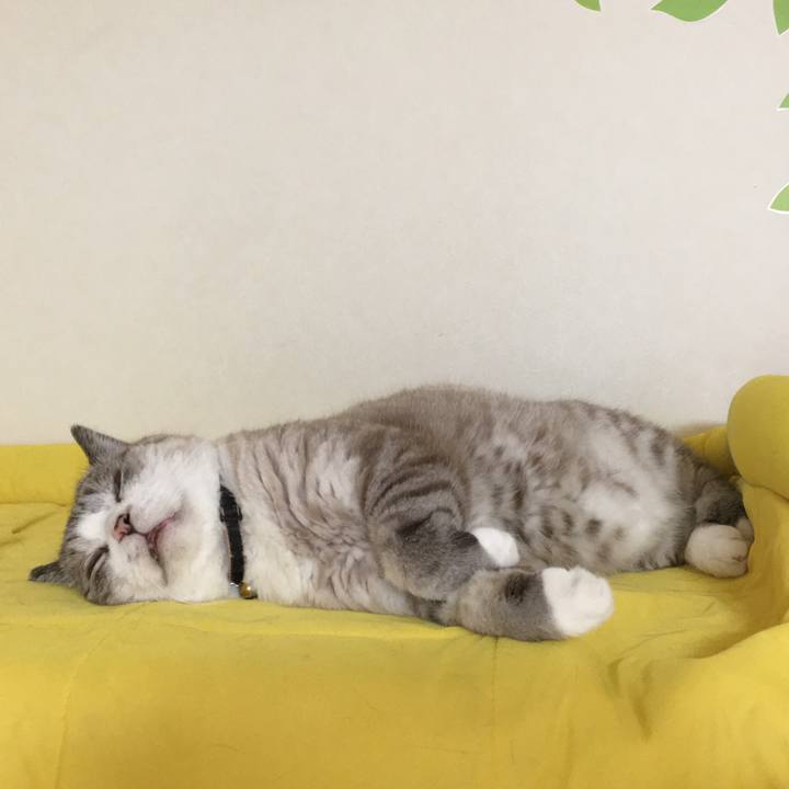 62ff9509 4cbc 4802 a06e dff5648127df 1592109777536