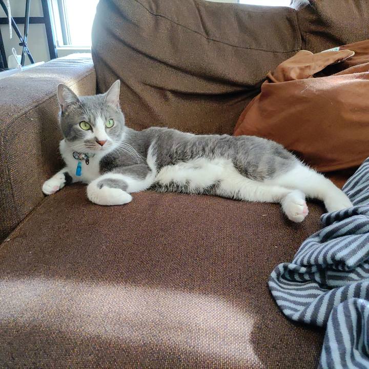 62ffa2b5 568d 42fb 98e8 5121a63aaa1f 1673000255686