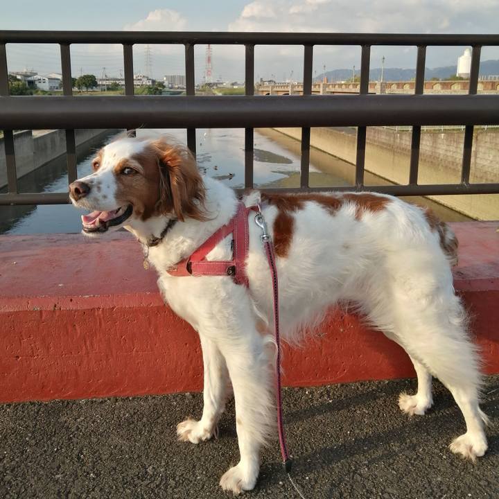 62ffc6bc 6f20 4acb bef5 03d503c34b3b 1633607692644