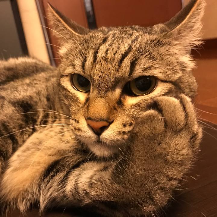 62ffe4ce 2d59 4204 9c66 bdb2409eea5b 1571569192223