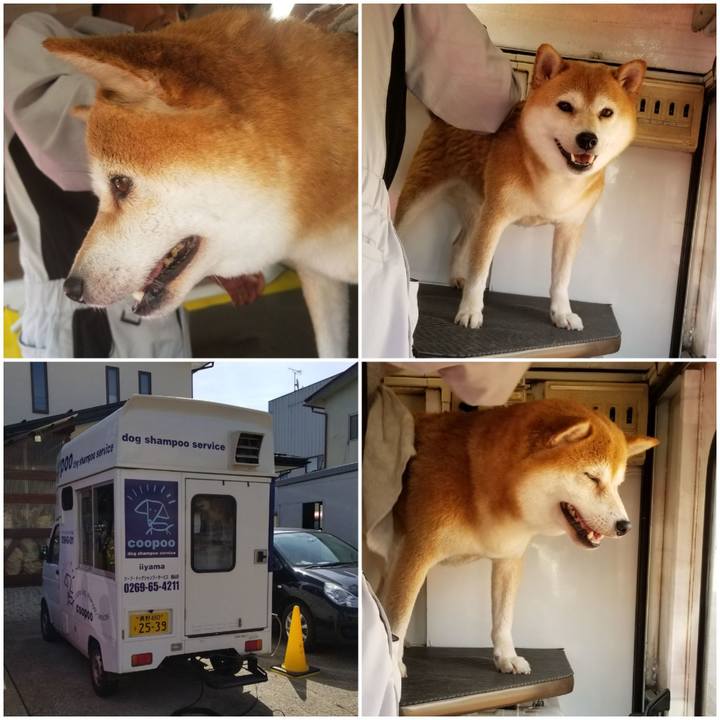 62ffec89 e548 41f4 83f7 16d354cb192b 1601341217847