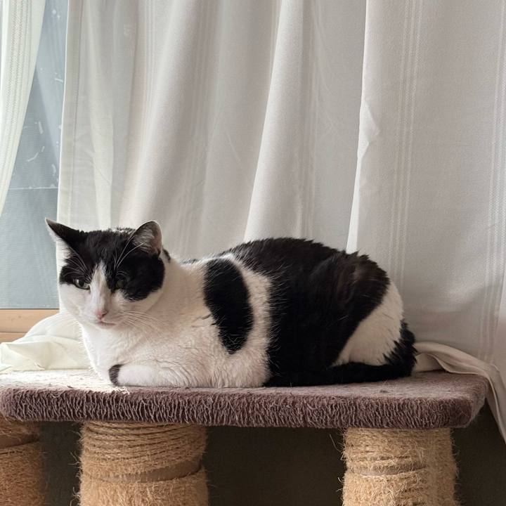 62fff189 9b88 42a2 8f6d fe3a09a794e3 1773885751356