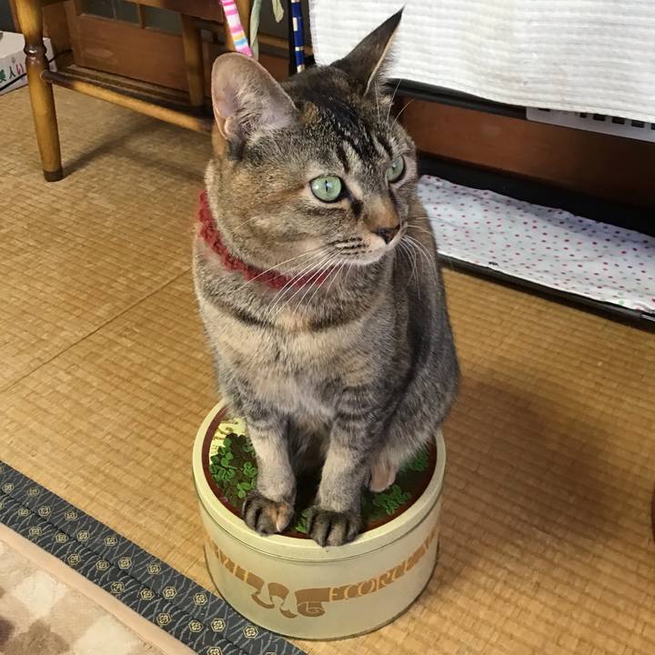 62fff1db c26b 463e 9a1a 17e1f7e65f88 1640657380365