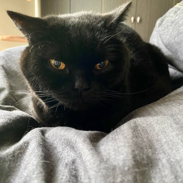 630085fa 6952 488b ade3 9d8d1ec50401 1710107953953