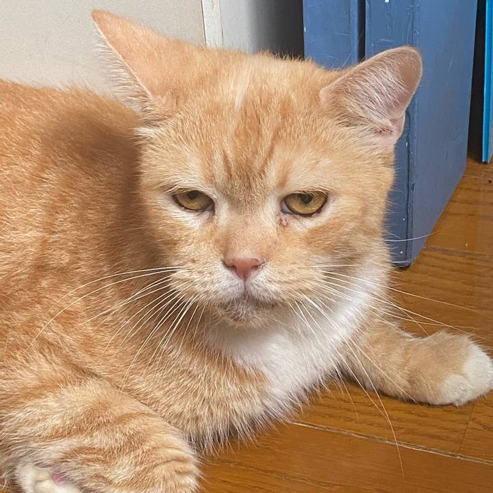 6300cf44 6ec7 4616 953b 487aa269382d 1631418162662