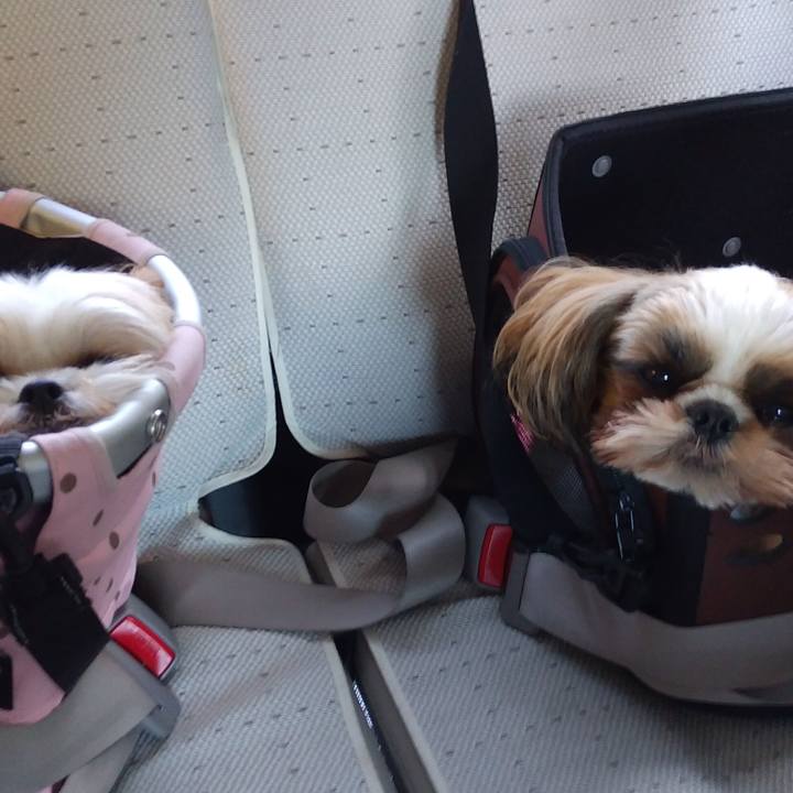 6300d4a9 5a26 43a9 9793 c2973e672084 1572829686304