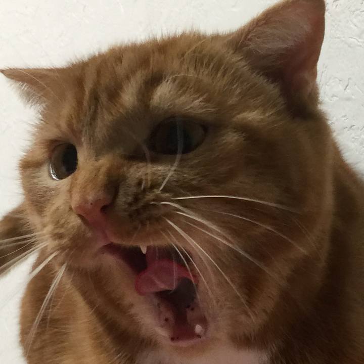 6300f233 b0cf 4a08 b076 fd2b39ba6aee 1553906927880