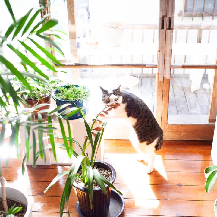 63014960 7123 4163 b4ee bda85654670e 1549816230421