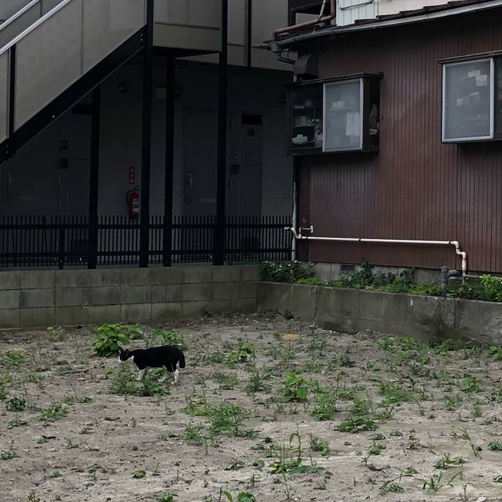 63018182 5713 4b42 b991 2622b3ed31b4 1526606603378