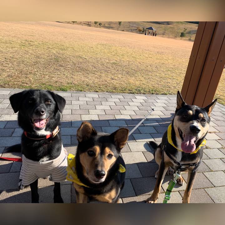 6301a311 2ac2 4085 930d 453ed8d978ea 1575796678384