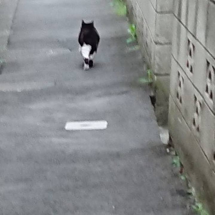 6301da35 6363 45fa 91d8 98af37216d9c 1679054440304