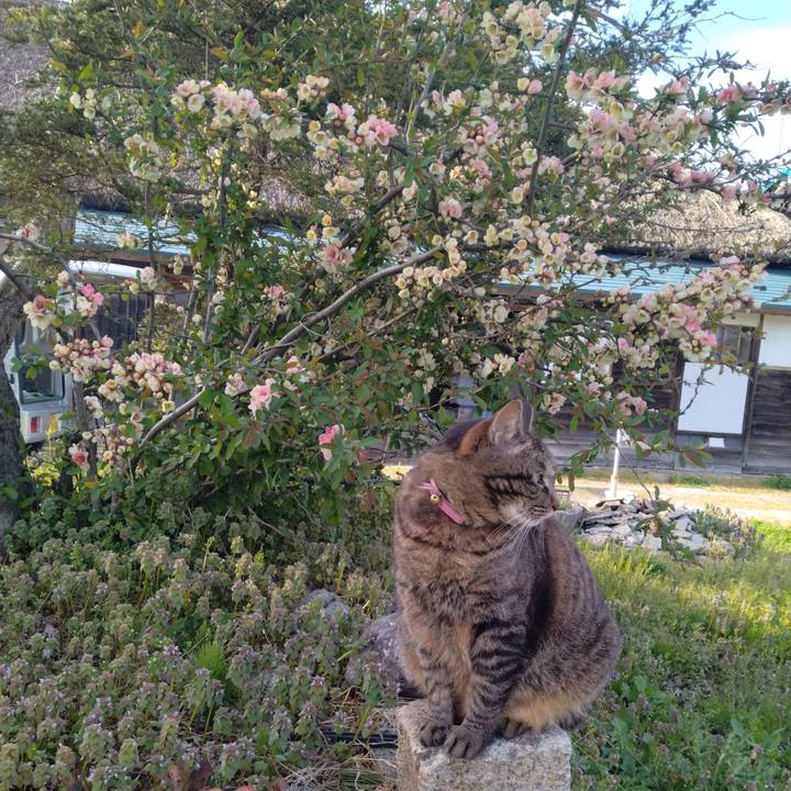 6301e2ef cbee 4141 b027 a408e753b764 1713255783077