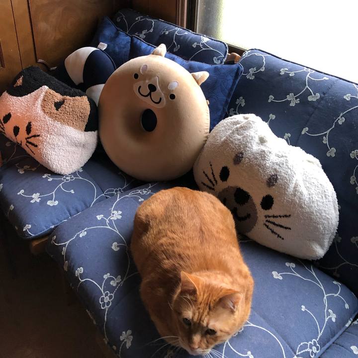 6301ebd9 fbea 465c a24d 0de9a01c8588 1590611739528