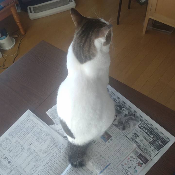 6301fa7d abc7 49c1 8bcb 23d8c72cb91b 1757986432435