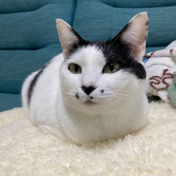 63020023 0b02 40f5 bd4f ceda45b58672 1764852938888