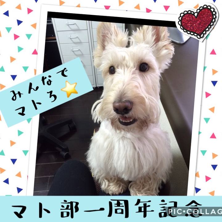 63020a74 f4f2 42f5 8b8b b74367749461 1540387499114