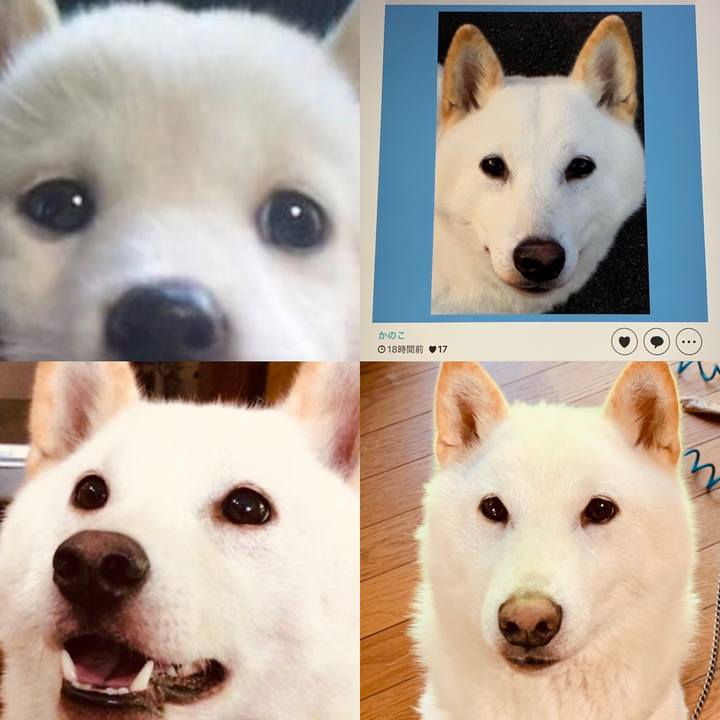 63022170 3e53 4305 b946 acb7390f5f62 1594241172718