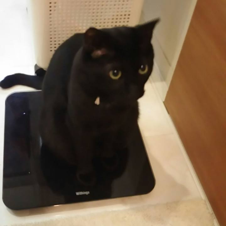 630248ce b568 4008 991c d5bca2c5df4f 1522812792576