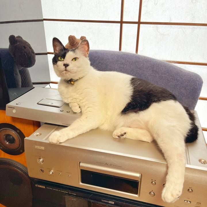 63026e15 d8cb 45c0 8951 aebbc0a51db6 1752101575462