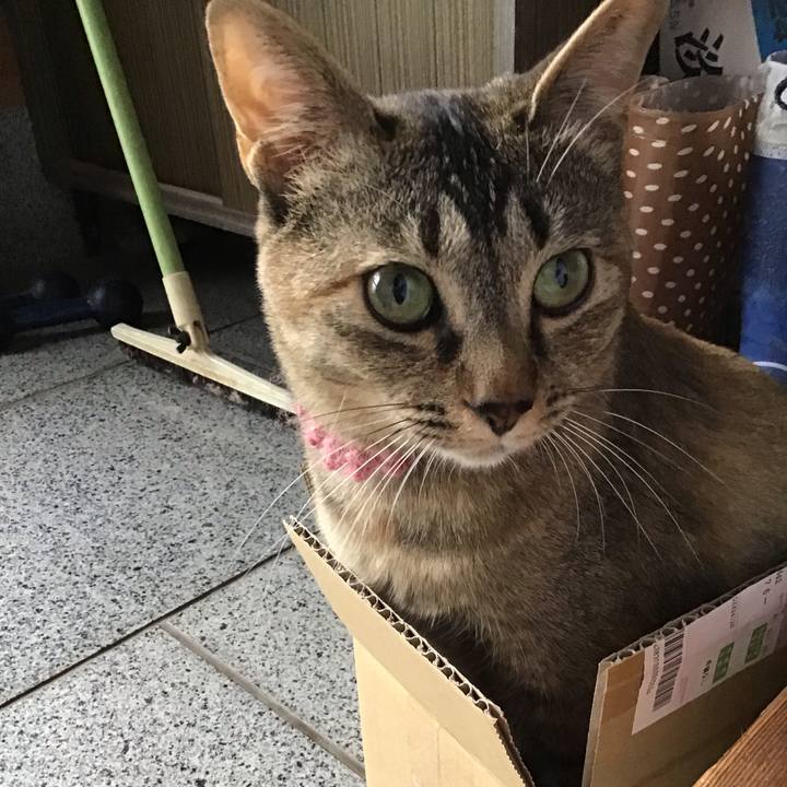 6302853d bea9 4842 b762 37ac75d2c9e2 1592467200718