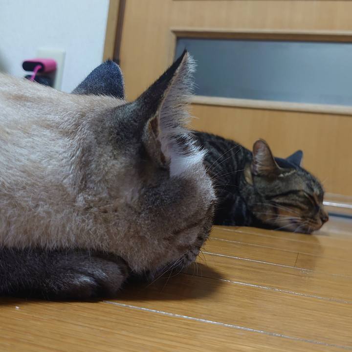 6302f477 47e8 42f3 8cc6 3fb81b74176f 1691570866100