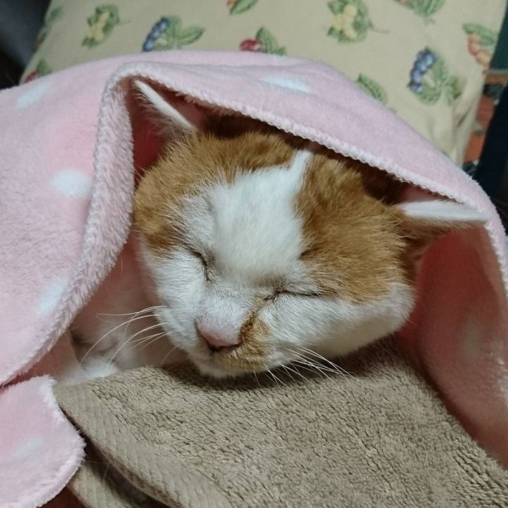 63032819 8259 4555 8bd2 f20f23fdcf4b 1534762488337