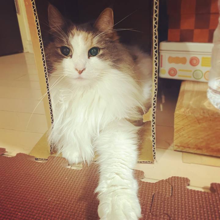 63032d82 5a10 4c24 bdaa 63f58ea1be79 1671346872849