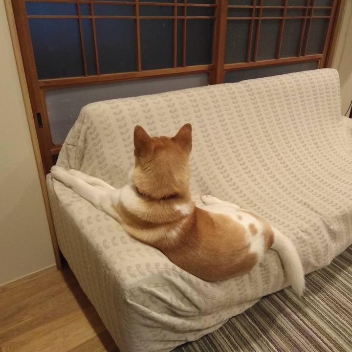 63033920 9da1 4535 9096 23a906f04b1a 1521962123815