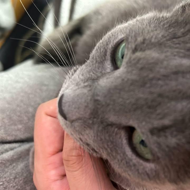 63033bb9 1eba 415a 86e1 98f43ca675cc 1710894041087