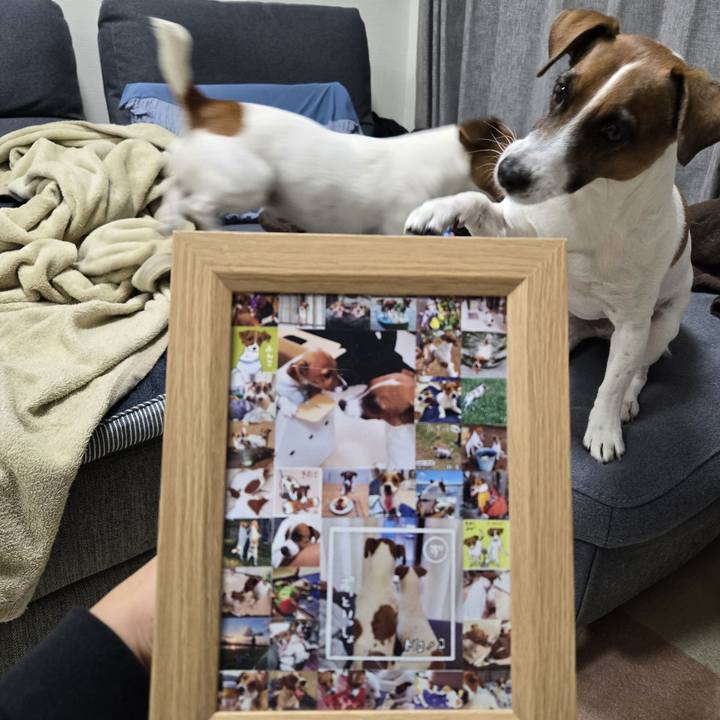 630360f9 7c0c 49db 8a96 1c4eced2fe0c 1765365085656