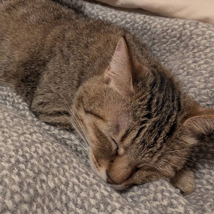 630366b3 a09c 4c8e 97fe c95f30144984 1763590436109