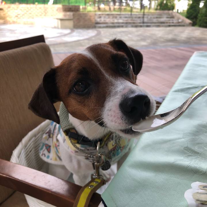 63039032 ff68 4be6 b9d6 e0ff8c451688 1566827229775