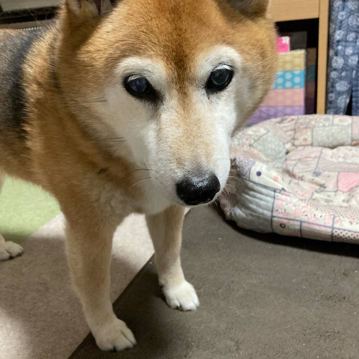 6303a0f6 8374 4ecb aea7 d4b4738ad6c2 1716975980252