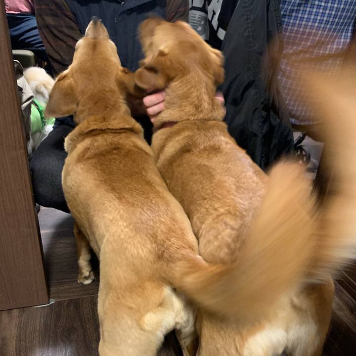 6303bd5e c520 4ea1 8a17 e8b0d5c92a76 1619261067789