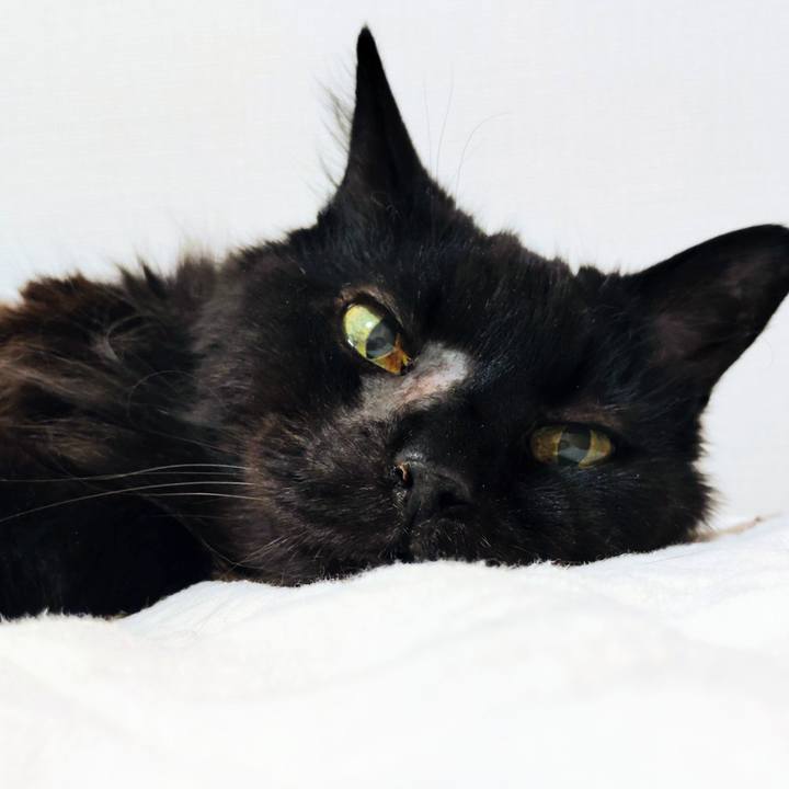 6303d511 37eb 404f 8087 8daf92ab9d5c 1776914648705