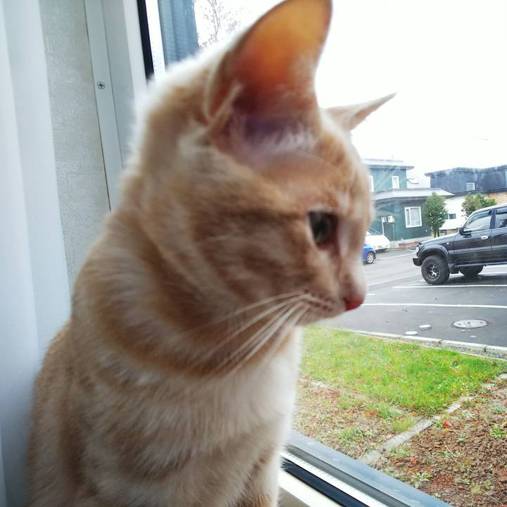 6303e758 e716 477e 8c85 ad17bb4caa3a 1541894661508