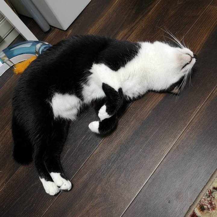 630428e0 037a 4605 a615 c68aef24cc24 1541603302947