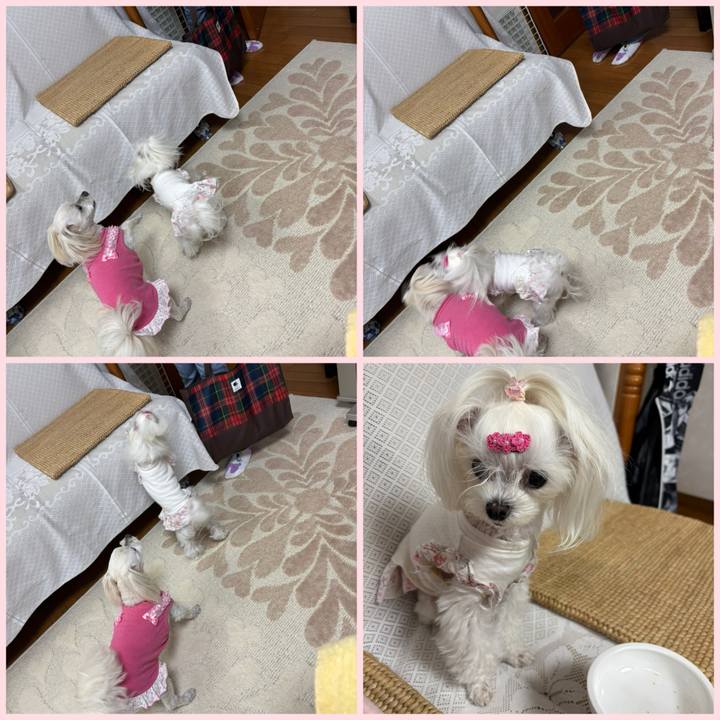 63042f24 53de 4a9a 89ce 2d8cddbb6f86 1773915812509