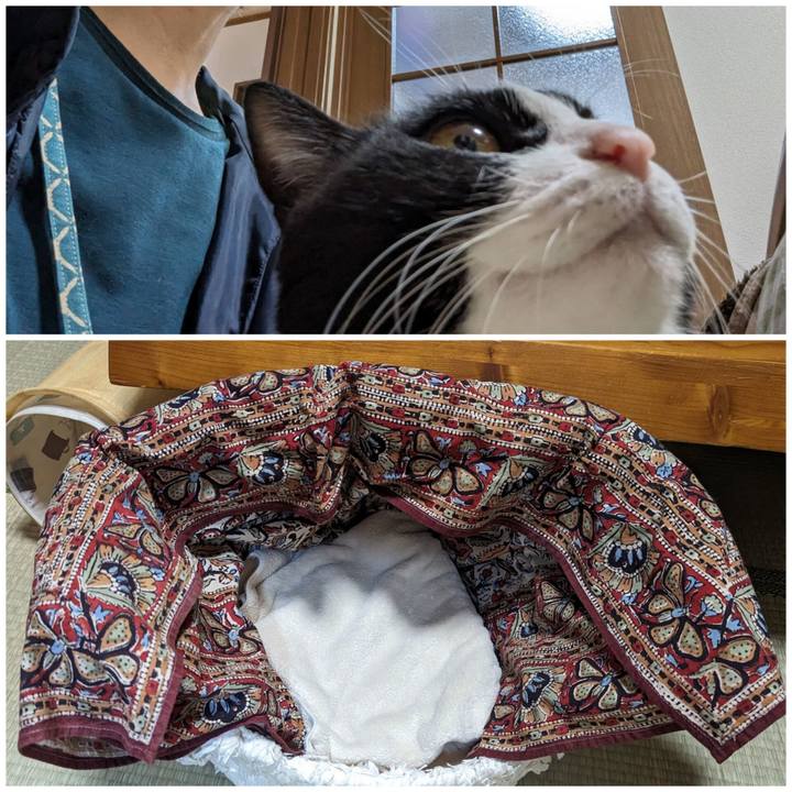 630445bf 7c72 4ebf 856c 7ce58eb564bb 1701316018514