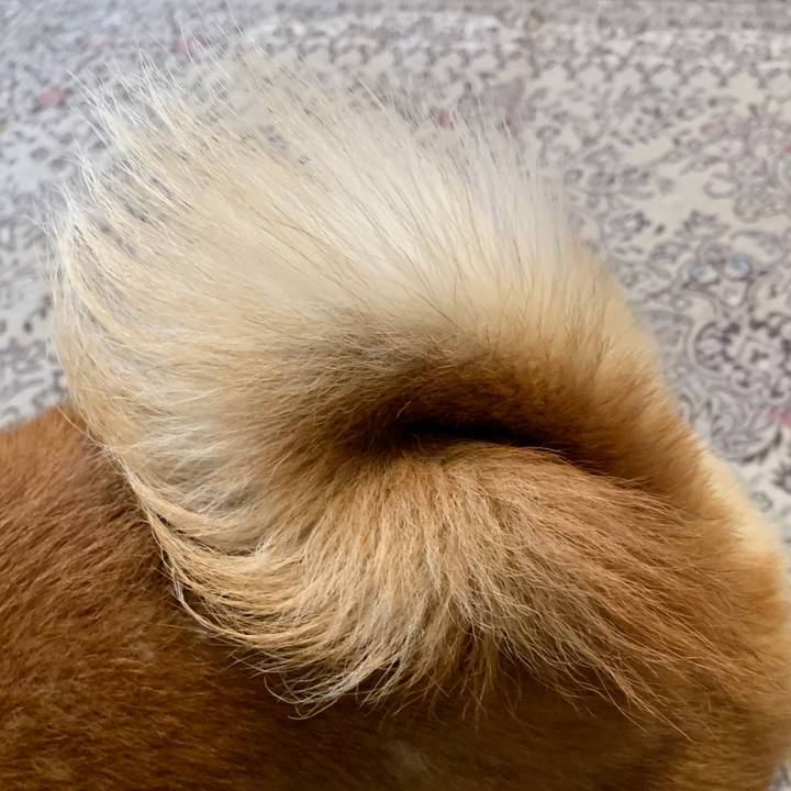 63046f5b 30c8 49b7 ad9c 791a7b98c1da 1574159752395