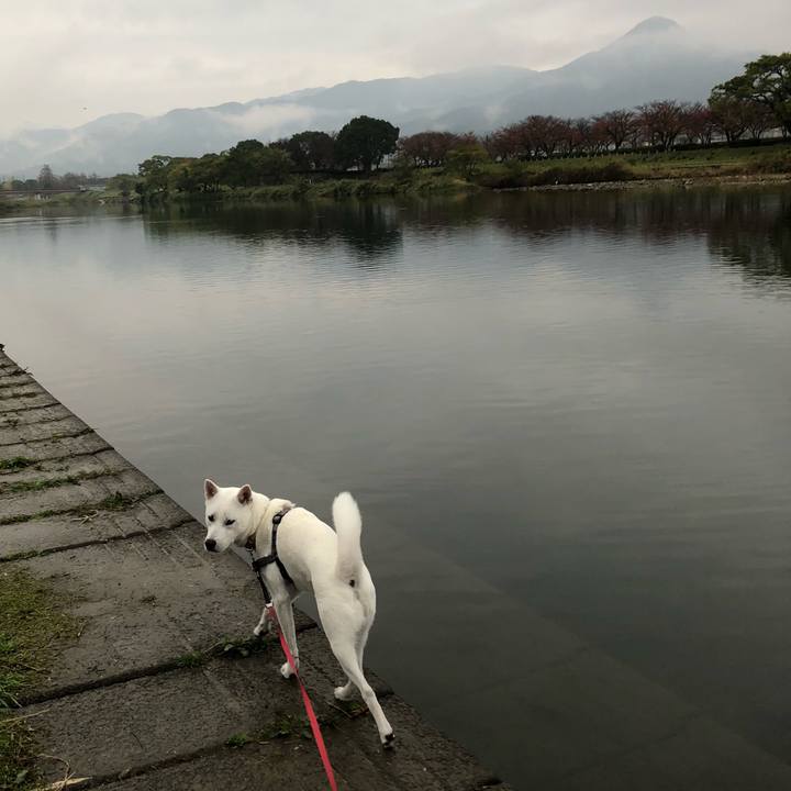 6304becc 3733 4d8c b735 f2eb7e503169 1541982746395