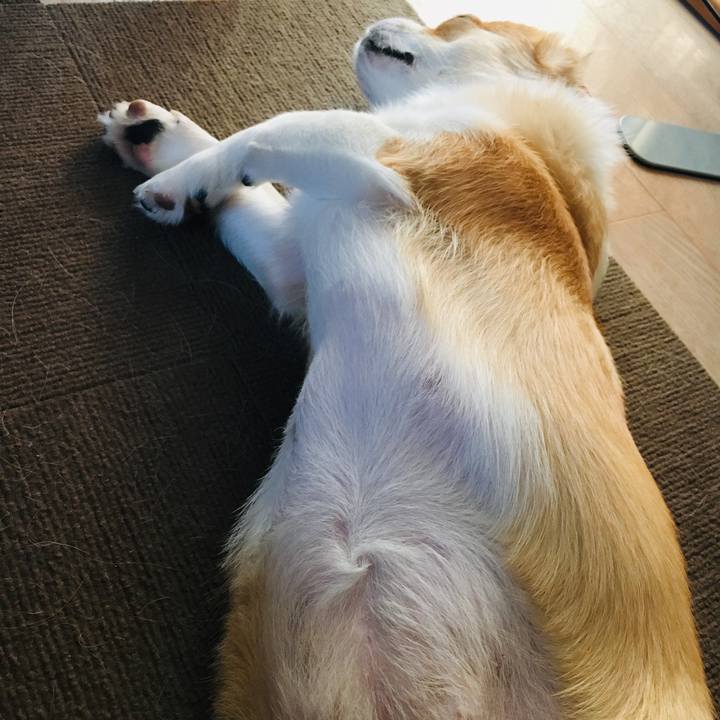 6304cc24 f77f 4820 a342 0a41e5d971d2 1570071675763