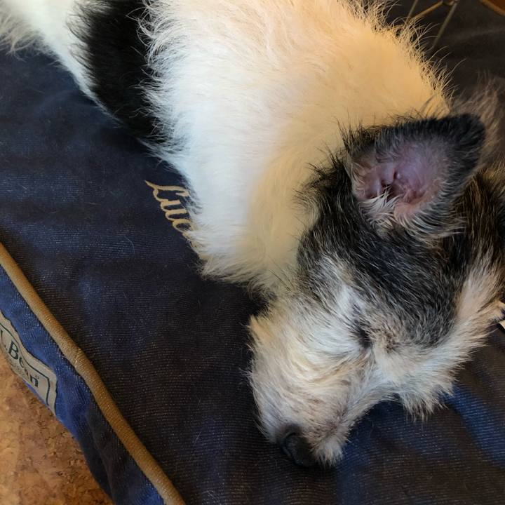 6304d156 dce2 4514 9680 ae6a5bcc2103 1598766877294