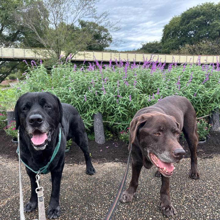 6304f926 9563 42c2 92aa 10479b05a649 1760878470704