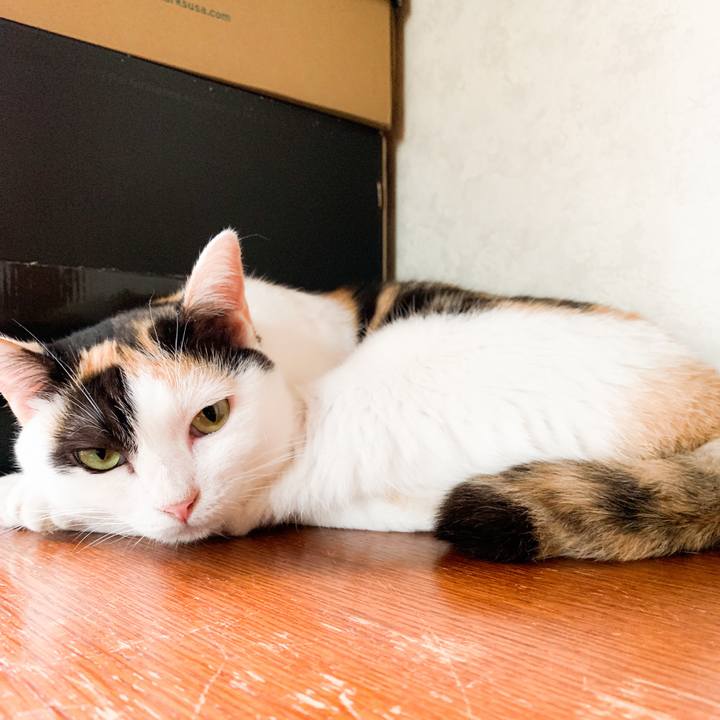 6305069a d3db 429a 964d c8be67bf063f 1570674183058