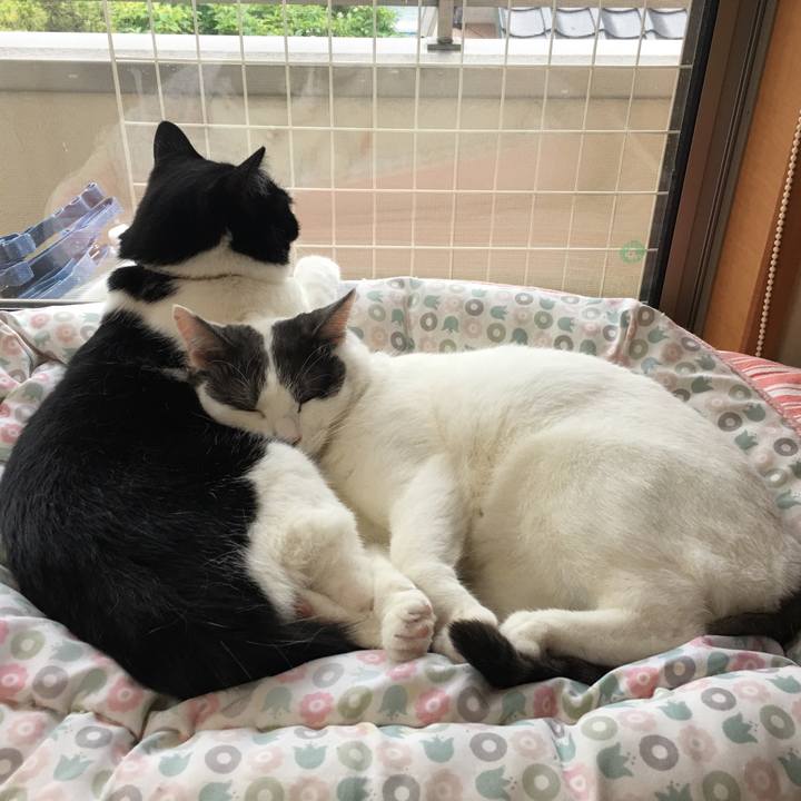 63052f29 50d4 4d13 a904 fae84e093f70 1592109812516