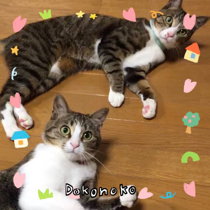 630549e7 c722 4eb3 961d 384de91cb090 1741457082468