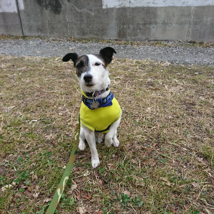 63058d53 913e 45f0 a8c9 7929c5a968cf 1516405563265